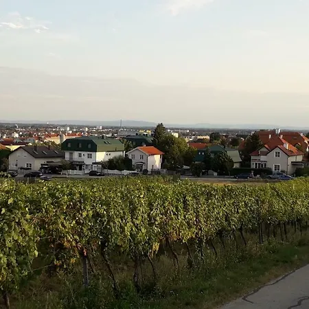 Ruhiges, Familienfreundliches Haus Mit Garten Nahe Wien * Gumpoldskirchen